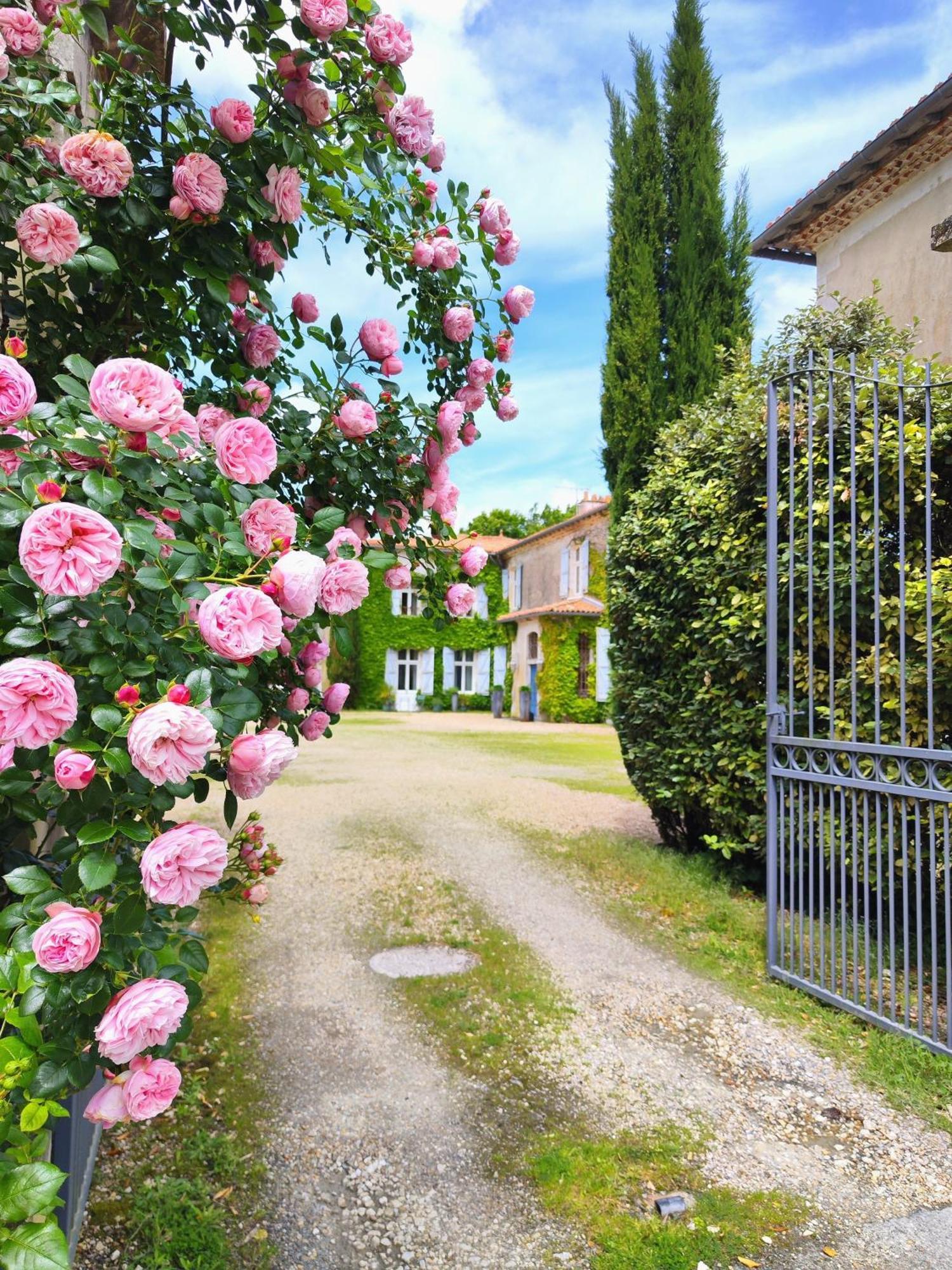 Hotel Chateau De Didonne Sémussac Eksteriør bilde
